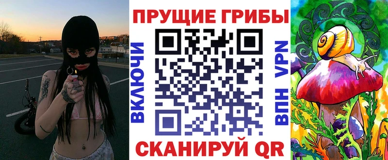 где купить   Кола  Псилоцибиновые грибы Cubensis 